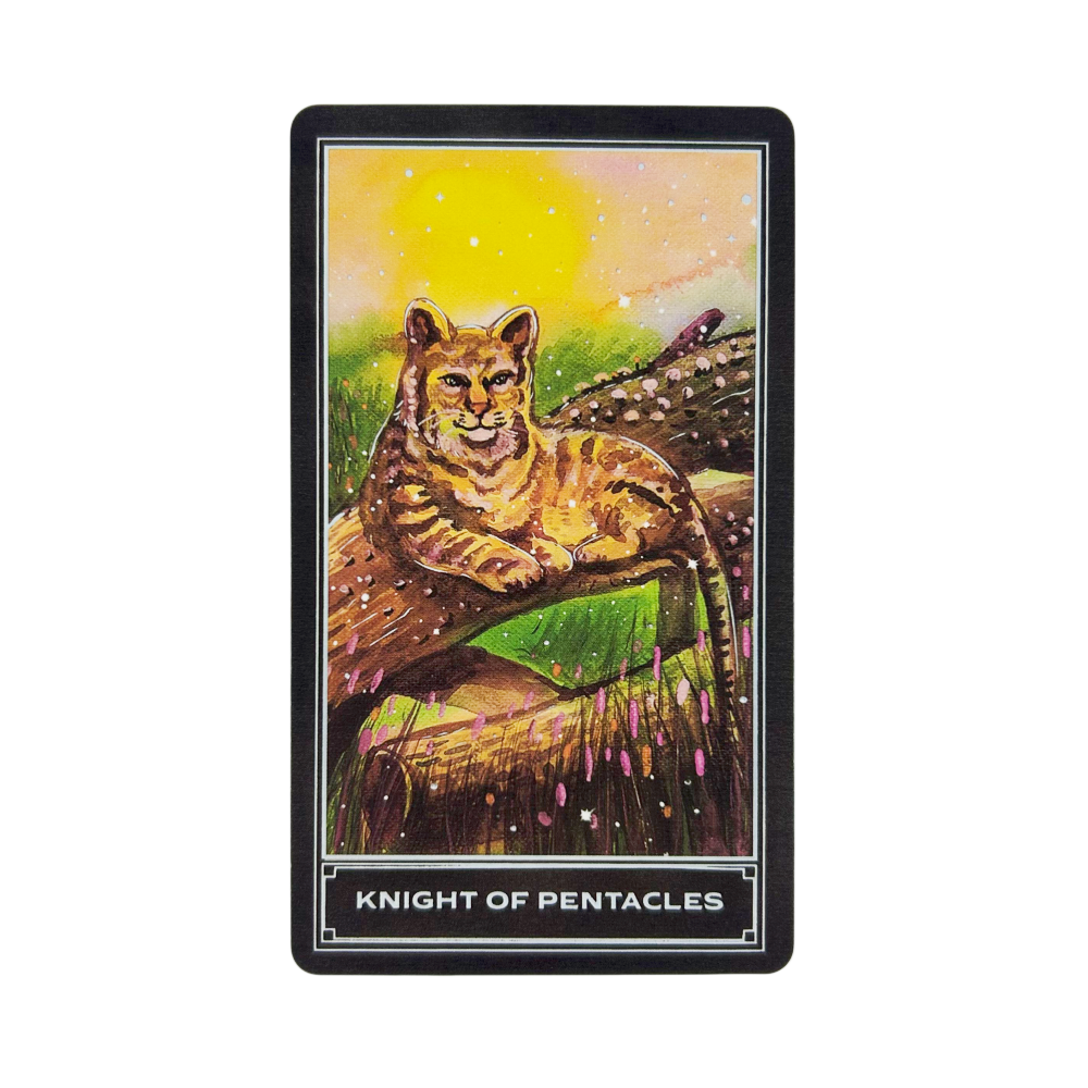 The Enchanting Earth Tarot Car - Board Game Inspiration recensie en prijs
