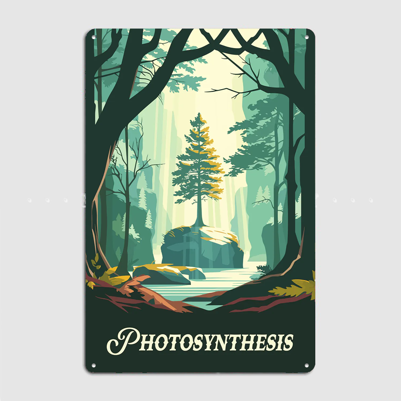 Photosynthesis Board Game Insp - Board Game Inspiration recensie en prijs